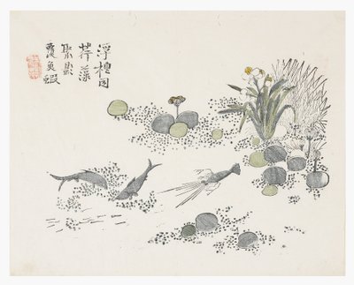 Jardin de graines de moutarde - Chinese School
