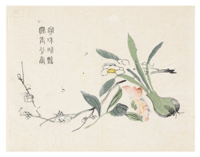 Jardin de la graine de moutarde - Chinese School