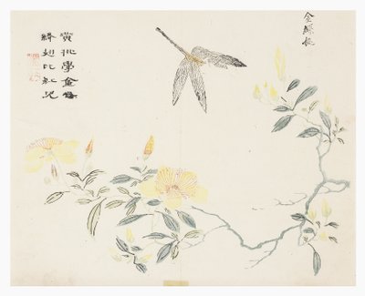 Jardin de la graine de moutarde - Chinese School