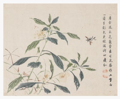 Jardin de la graine de moutarde - Chinese School