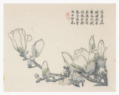 Jardin de la graine de moutarde - Chinese School