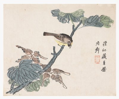 Jardin de la graine de moutarde - Chinese School