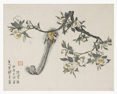 Jardin de la graine de moutarde - Chinese School
