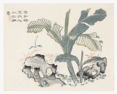 Jardin de graines de moutarde - Chinese School