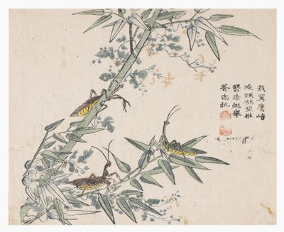 Jardin de graines de moutarde - Chinese School