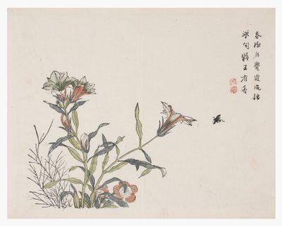 Jardin de graines de moutarde - Chinese School