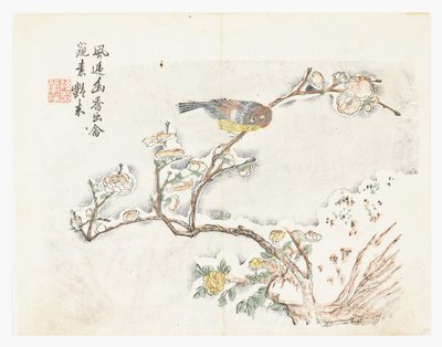 Jardin de graines de moutarde - Chinese School