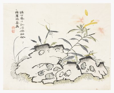 Jardin de graines de moutarde - Chinese School