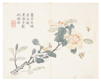 Jardin de la graine de moutarde - Chinese School