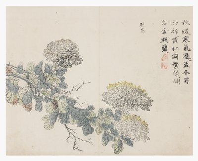 Jardin de la graine de moutarde - Chinese School
