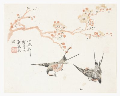 Jardin de la graine de moutarde - Chinese School