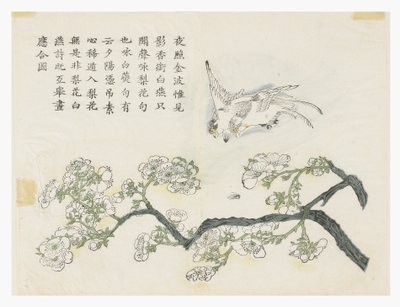 Jardin de graines de moutarde - Chinese School