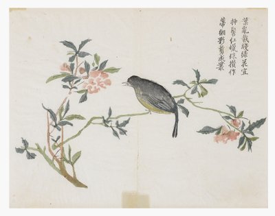 Jardin de graines de moutarde - Chinese School