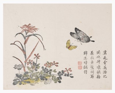 Jardin de la graine de moutarde - Chinese School