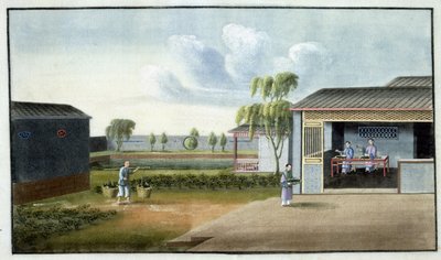Tri du thé - Chinese School