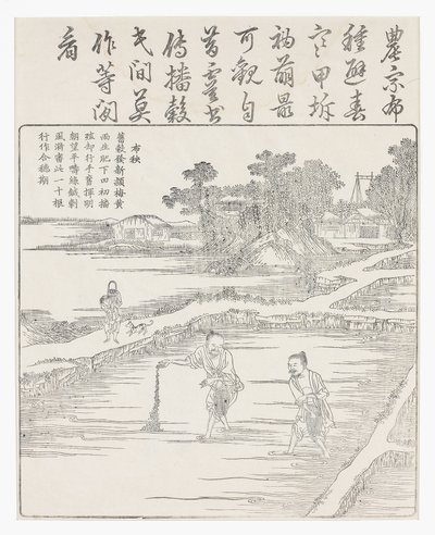 Semis du riz dans une pépinière, 18ème siècle - Chinese School