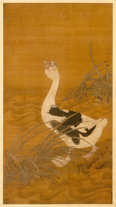 Oie cygnoïde parmi les roseaux - Chinese School