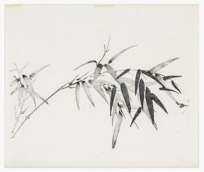 Série des Dix Bambous, XVIIIe siècle - Chinese School