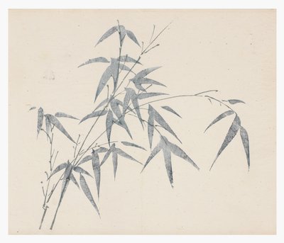 Série des Dix Bambous, XVIIIe siècle - Chinese School