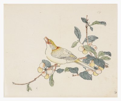 Série des Dix Bambous, XVIIIe siècle - Chinese School