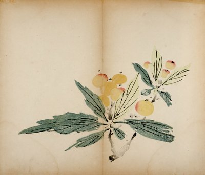 Impressions du Studio des Dix Bambous, 1643 - Chinese School