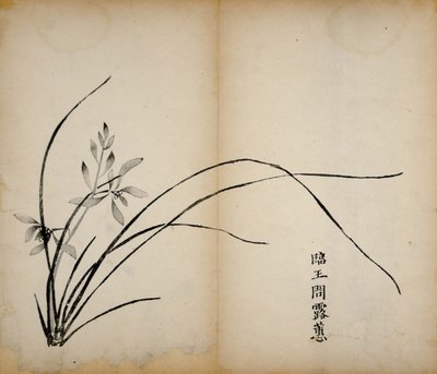 Impressions du Studio des Dix Bambous, 1643 - Chinese School