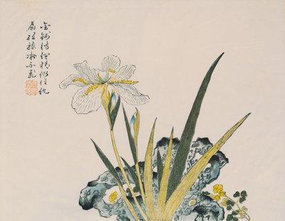 Le Jardin aussi grand qu