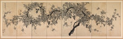 Vigne - Choe Seok hwan