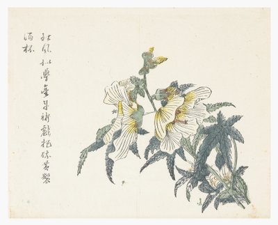 Jardin de la graine de moutarde - Chou Huang (after)
