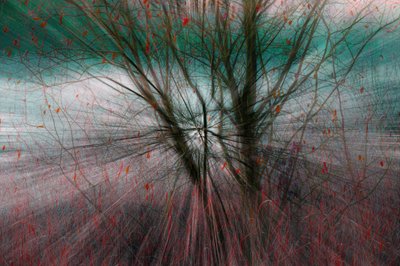  - Chris Hamilton