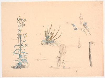 Études de plantes. Un pont de bain et un navire - Christen Dalsgaard