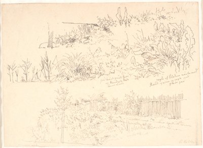 Le chemin le long des lacs. Diverses études de plantes ainsi que des notes à leur sujet - Christen Købke