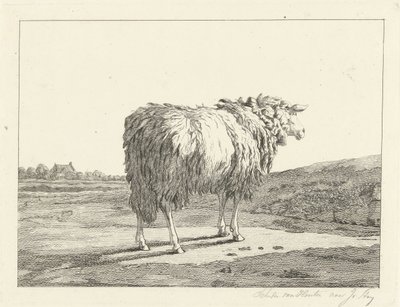 Mouton dans un paysage - Christiaan Godfried Schutze van Houten