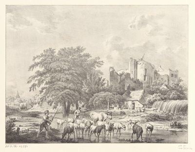 Troupeau de bétail près des ruines du château de Brederode - Christiaan Josi
