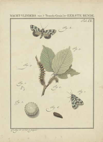 Papillons de nuit - Christiaan Sepp