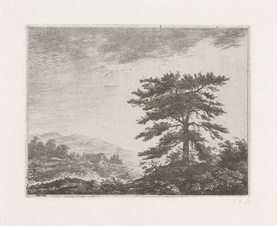 Arbre dans un paysage de bruyère - Christiaan Wilhelmus Moorrees