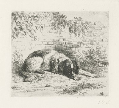 Chien couché devant un mur - Christiaan Wilhelmus Moorrees