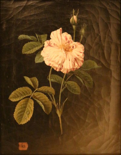 Etude d
