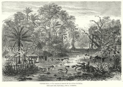 Chemin à travers les jungles de Zulia, Venezuela - Christian Anton Goering