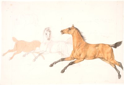 3 chevaux au galop - Christian David Gebauer