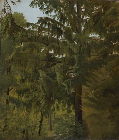 Sapin dans une forêt de feuillus - Christian Friedrich Gille