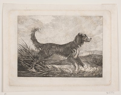 Un chien - Christian Holm