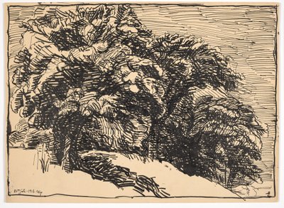 Chênes sur une berge - Christian Kongstad Petersen
