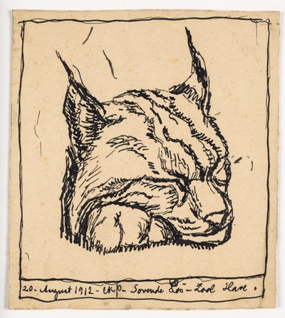 Lynx endormi - Christian Kongstad Petersen