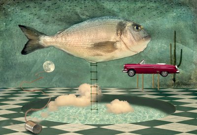 Paysage onirique surréaliste peuplé de poissons - Christian MARCEL