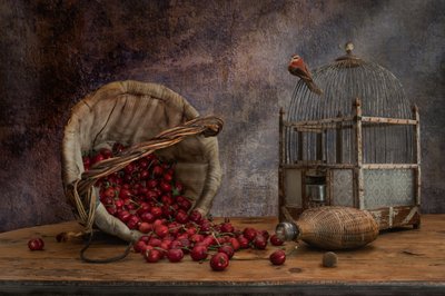  - Christian MARCEL