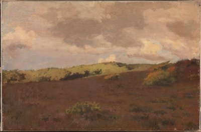 Paysage de lande. Automne - Christian Mourier Petersen