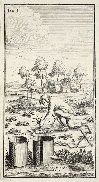 Jardinier récoltant, pub. Erfurt en Thuringe, 1753-55 - Christian Reicharts