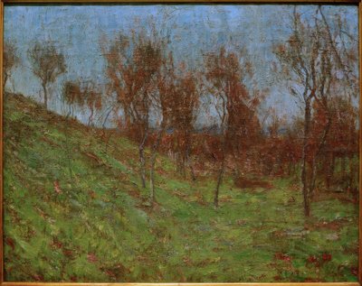 Pente de prairie - Christian Rohlfs