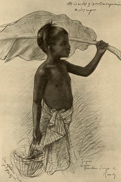 Garçon tamoul, Kandy, Ceylan, 1898 - Christian Wilhelm Allers
